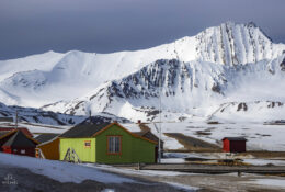 Spitsbergen_2025 (43/78)